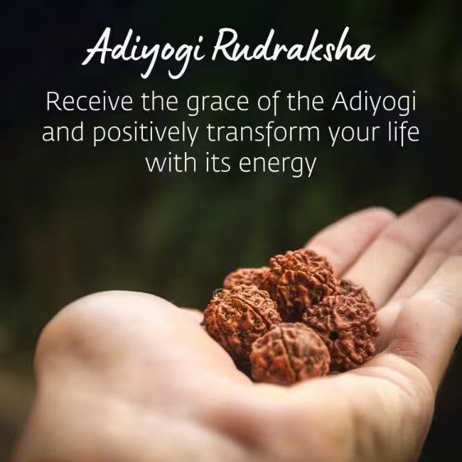 Adiyogi Rudraksha with copper chain. Consecrated Isha Panchamukhi (five faced) Rudraksha bead.