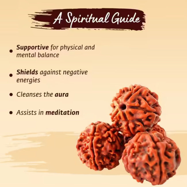 Adiyogi Rudraksha with copper chain. Consecrated Isha Panchamukhi (five faced) Rudraksha bead.