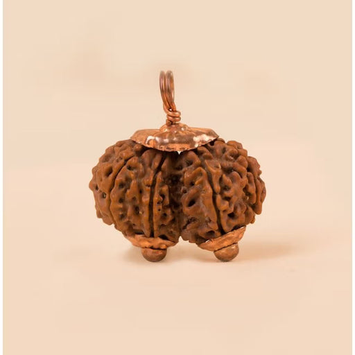 Consecrated Isha Gauri-Shankar Rudraksha