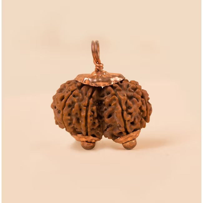 Consecrated Isha Gauri-Shankar Rudraksha