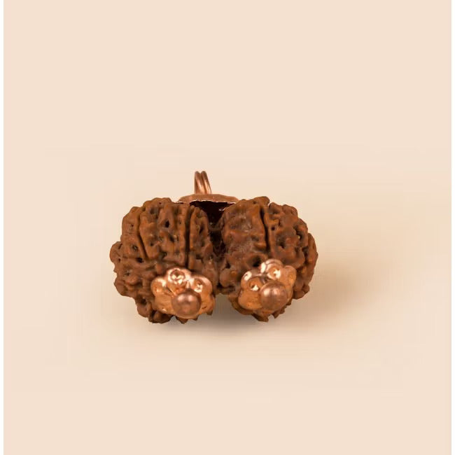Consecrated Isha Gauri-Shankar Rudraksha