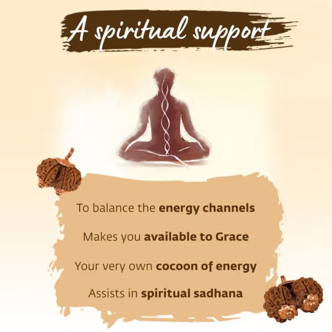 Consecrated Isha Gauri-Shankar Rudraksha