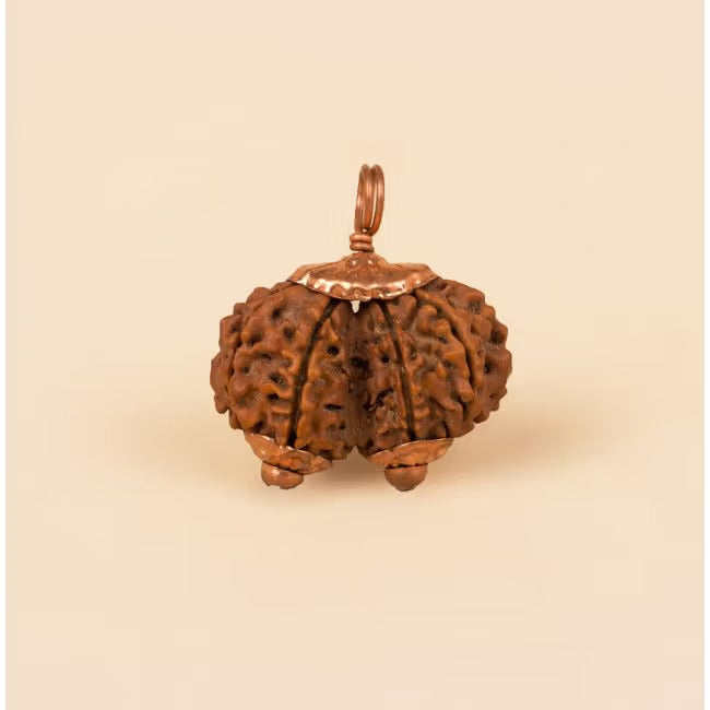 Consecrated Isha Gauri-Shankar Rudraksha